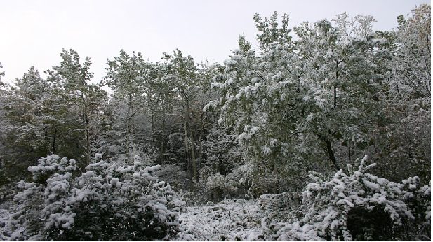 Winter Storm Preparedness & Science: The Ultimate Safety Guide