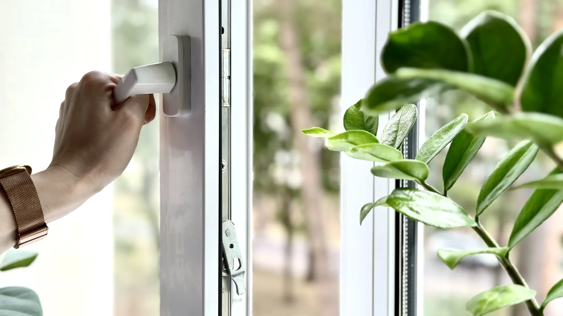 House Burping: The Viral Air Quality Hack vs. Plumbing Warning Signs